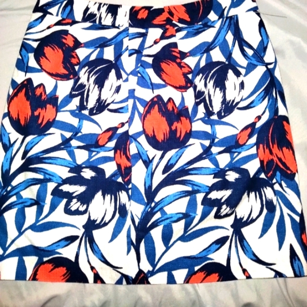 J.Crew skirt.